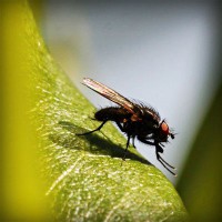 /album/mutant-squad/photolia-a04-jpg/