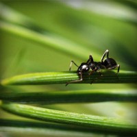 /album/mutant-squad/photolia-a05-jpg/