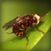 /album/mutant-squad/photolia-a06-jpg/