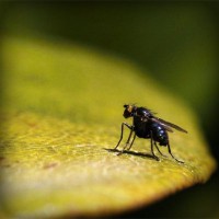 /album/mutant-squad/photolia-a07-jpg/